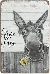Vintage Donkey Art Metal Signs, Funny (12 x 16)
