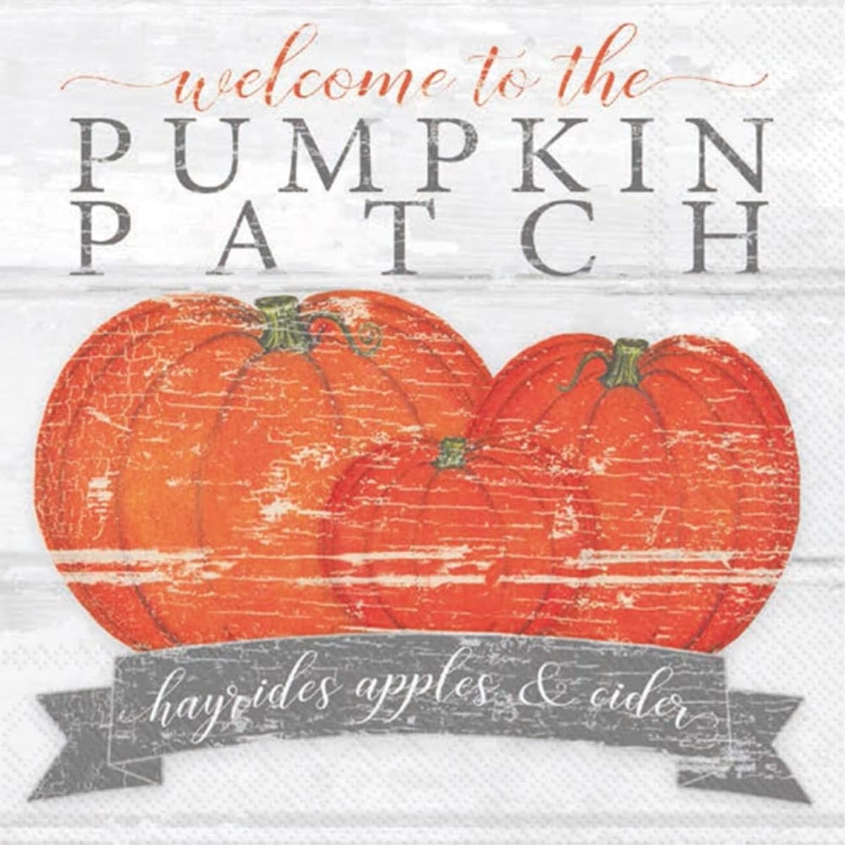 Pumpkin Patch Fall Cocktail Napkins - 80 Count