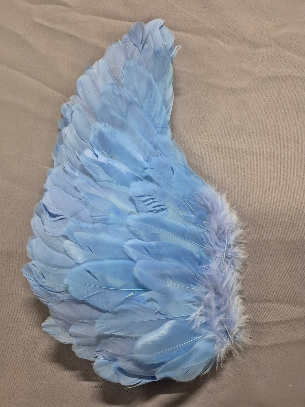 Kids Blue Feather Angel Wings